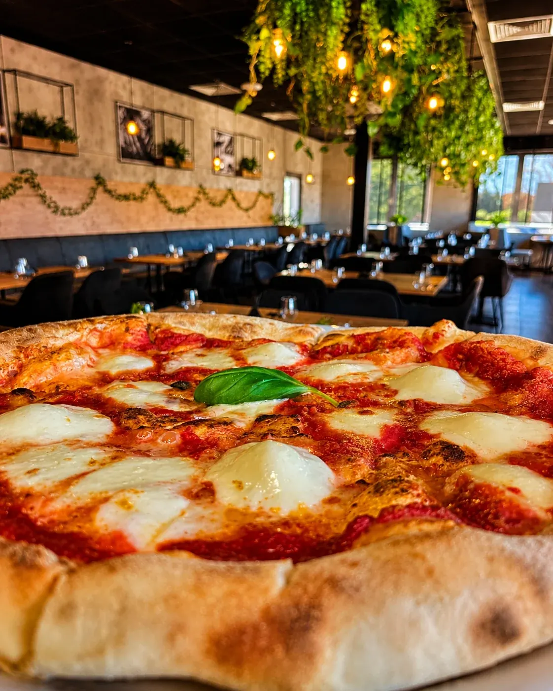 Pizza z bazylią na tle wnętrza restauracji